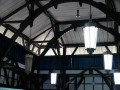 Tn P1030417